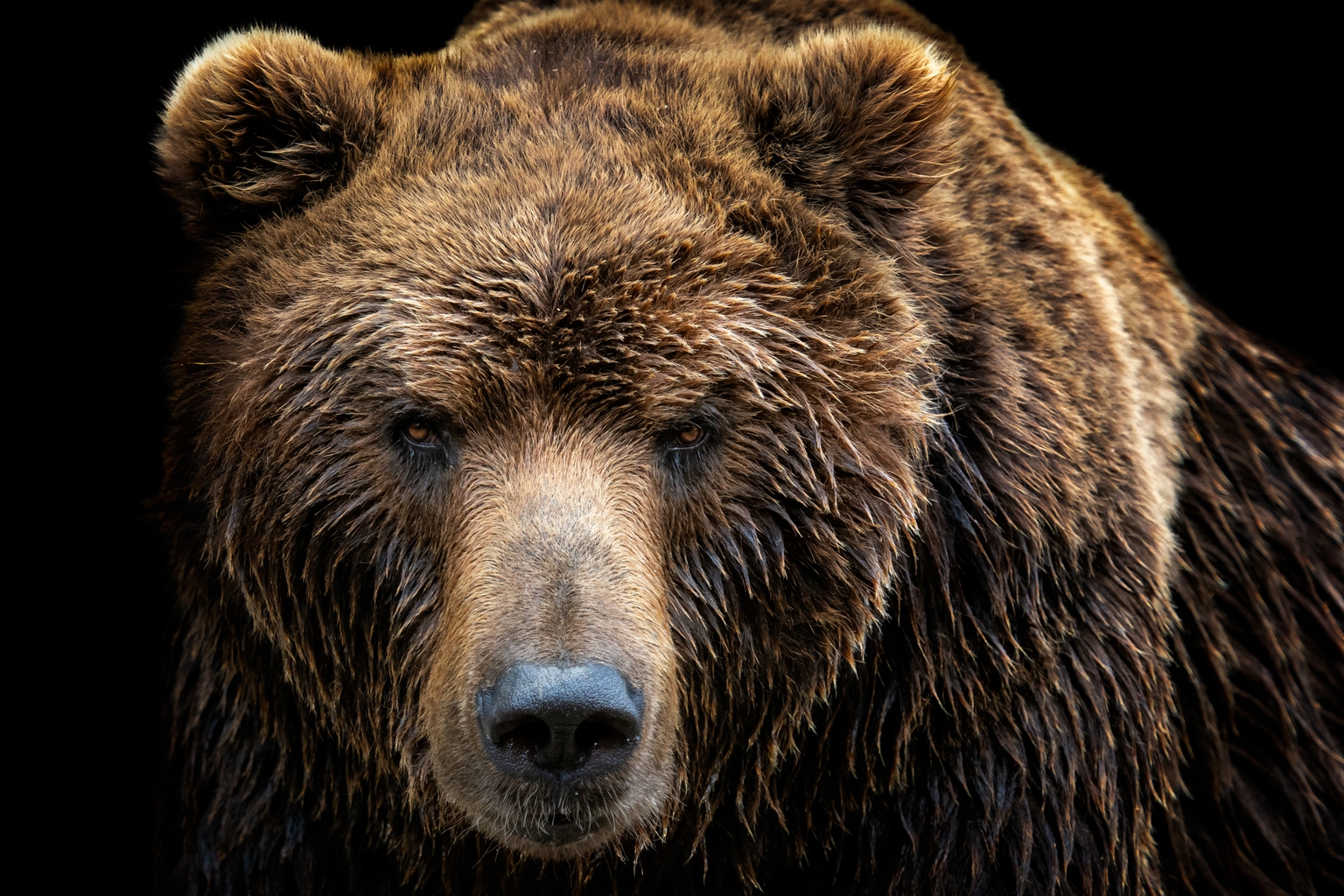 Concerns Rise Over Potential Double Hawk Impacting AI Market Sentiment