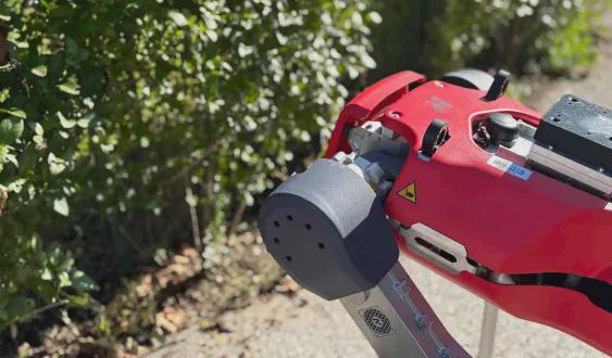 Robot Dogs Use Insect-Inspired Movements to See Through Obstructions in 17 Milliseconds