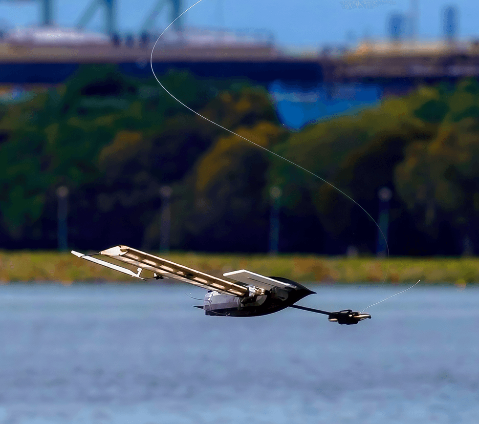 Albatross: A Hybrid Aerial-Marine Robot for Autonomous Navigation