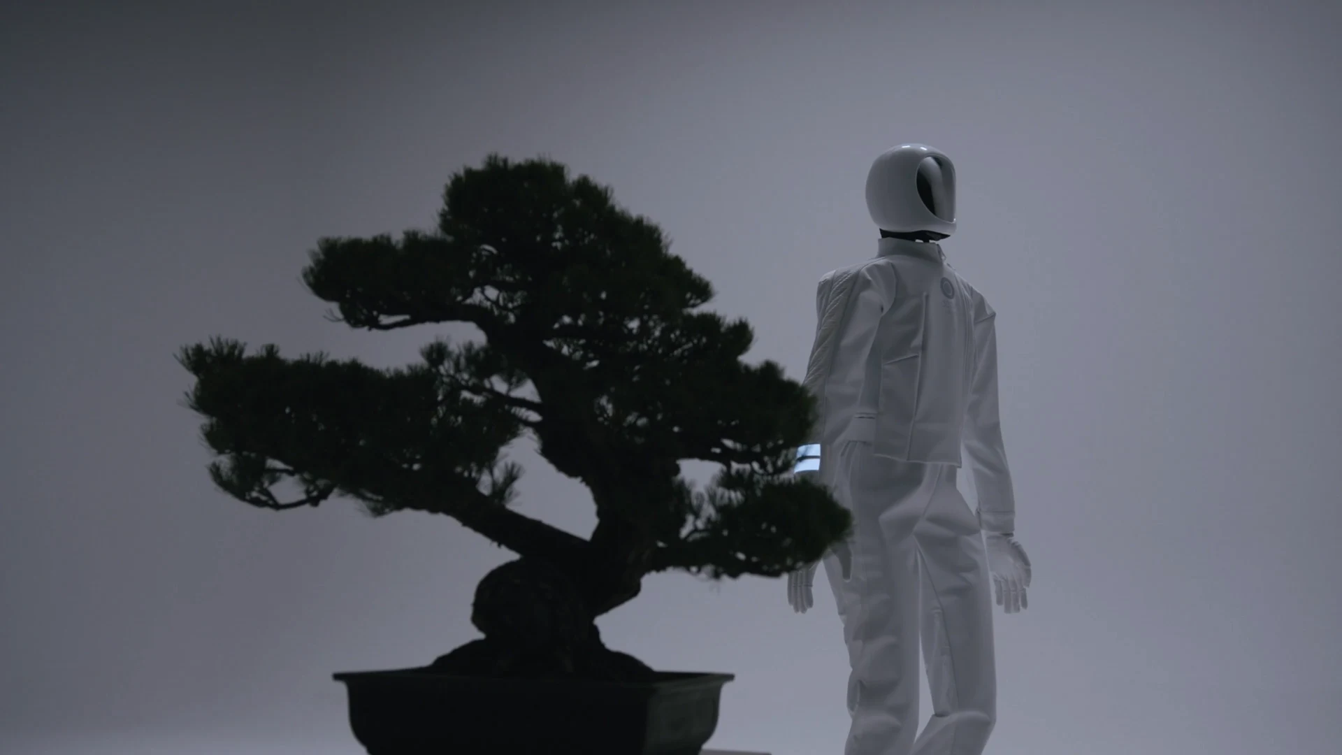 Donut Robotics Partners with Charm Care for ¥300 Million Eldercare Humanoid Initiative