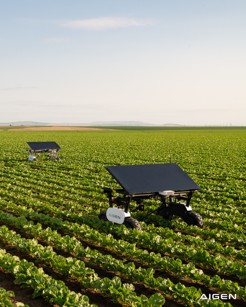 Aigen Develops Simulation System to Train Solar-Powered Farming Robots in Under a Week